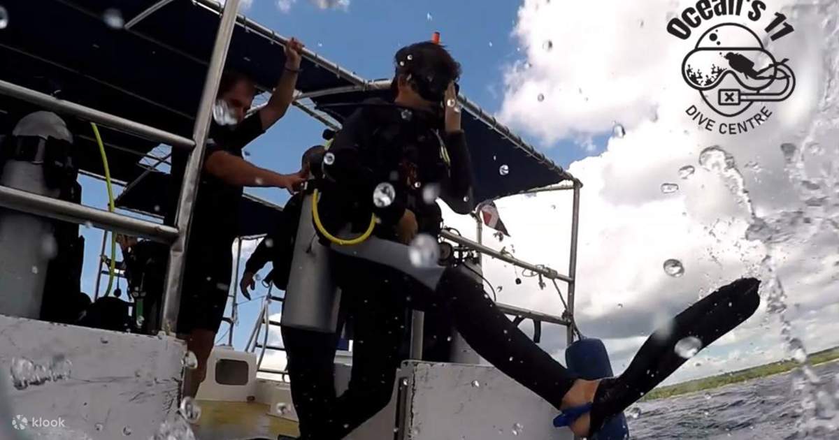 Padi Paket Wurde Vom Hg Gesendet Erleben Sie die Unterwasserwelt: 7-Tauchgänge-Paket in Redang mit dem